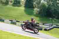 Lower Group Black Bikes